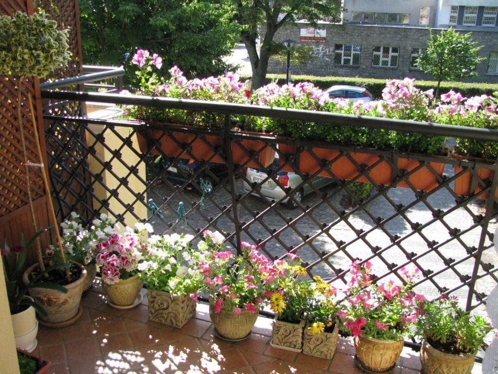 索波特Patio Mare Amber公寓 外观 照片